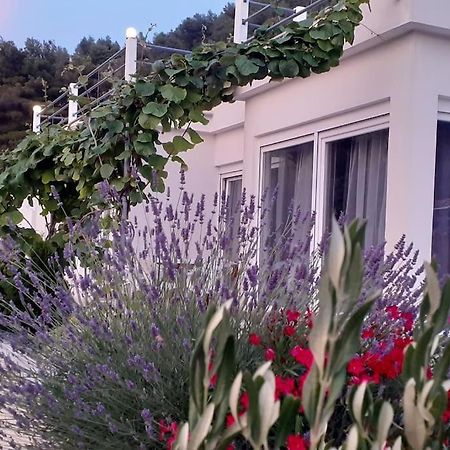 Vis - Luxury Holiday Villa With Swimming Pool Exteriér fotografie