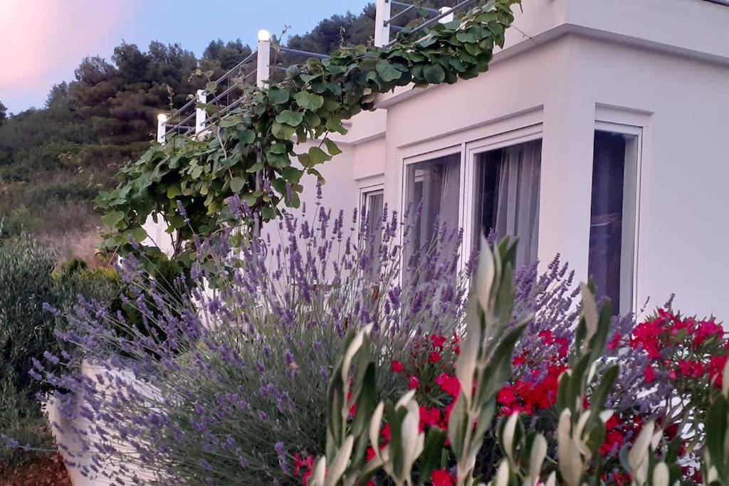 Vis - Luxury Holiday Villa With Swimming Pool Exteriér fotografie